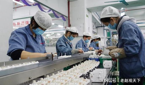 2023年中国外贸承压 国内贸易代理视角下的多重因素解析